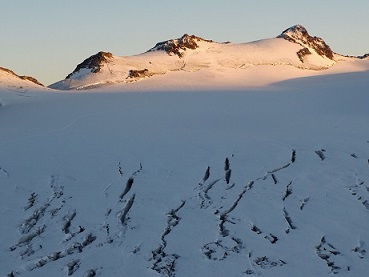 Mittlere Hintereisspitze